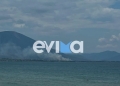 Οριοθετήθηκε η φωτιά στη Δροσιά Χαλκίδας
