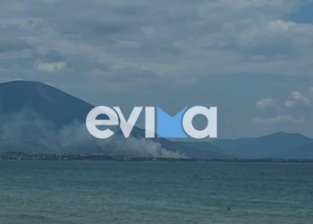 Οριοθετήθηκε η φωτιά στη Δροσιά Χαλκίδας