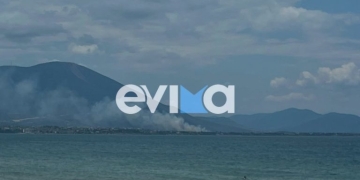Οριοθετήθηκε η φωτιά στη Δροσιά Χαλκίδας