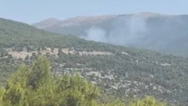 Οριοθετήθηκε σε 40 λεπτά η φωτιά στην Αγία Παρασκευή Βιλίων - Βίντεο από το σημείο