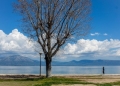 Ωρωπός: Oλοκληρώθηκαν οι εργασίες στην παραλία της Σκάλας μετά το αυθαίρετο μπάζωμα