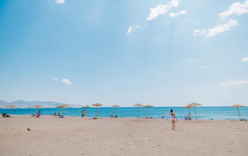 φρεαττυδα