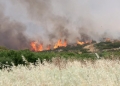 Πολύ Υψηλός κίνδυνος πυρκαγιάς σε όλη την Κρήτη την Παρασκευή