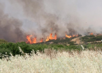 Πολύ Υψηλός κίνδυνος πυρκαγιάς σε όλη την Κρήτη την Παρασκευή