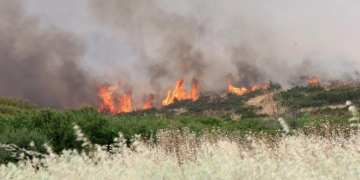 Πολύ Υψηλός κίνδυνος πυρκαγιάς σε όλη την Κρήτη την Παρασκευή