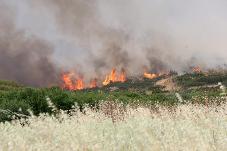 Πολύ Υψηλός κίνδυνος πυρκαγιάς σε όλη την Κρήτη την Παρασκευή