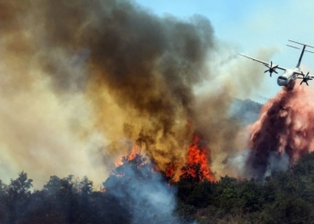Πύρινος εφιάλτης σε Γαλλία και Ισπανία: Δεκάδες χιλιάδες εκκενώνουν περιοχές καθώς η ακραία ζέστη τροφοδοτεί τις φωτιές