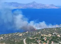 Πυρκαγιά σε αγροτοδασική έκταση στον Άγιο Γεώργιο Μεθάνων - Ήχησε το 112
