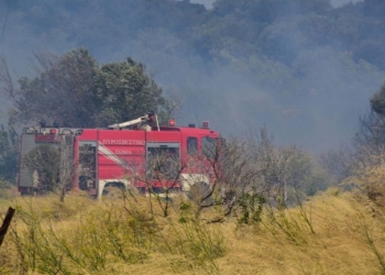 Πυρκαγιά σε χαμηλή βλάστηση στο πρανές της λεωφόρου Σχιστού στο Πέραμα