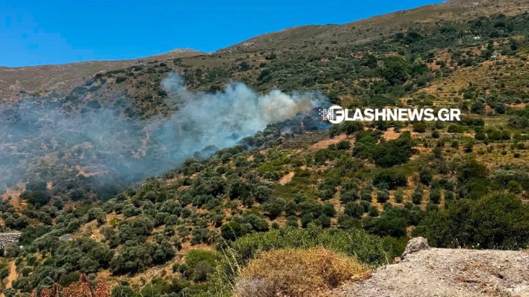Πυρκαγιά σε χαμηλή βλάστηση στον Κίσσαμο Χανίων - Σηκώθηκαν εναέρια μέσα - Δείτε βίντεο