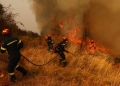 Πυρκαγιά σε δασική έκταση στη Φαλαισία Αρκαδίας