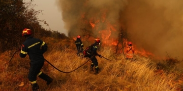 Πυρκαγιά σε δασική έκταση στη Φαλαισία Αρκαδίας