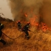 Πυρκαγιά σε δασική έκταση στη Φαλαισία Αρκαδίας