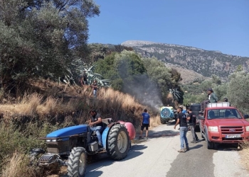 Πυρκαγιά στα Βορίζια: Μια «ανάσα» από το χωριό οι φλόγες – Φωτογραφίες από την επιχείρηση κατάσβεσης