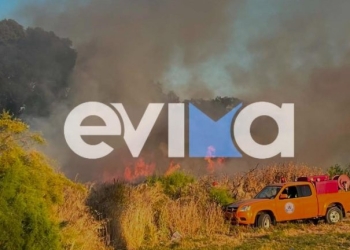 Πυρκαγιά στην Ερέτρια Εύβοιας: «Έσβησε γρήγορα», δήλωσε ο δήμαρχος - Δείτε βίντεο και φωτογραφίες