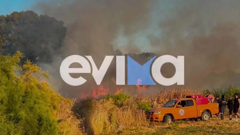 Πυρκαγιά στην Ερέτρια Εύβοιας: «Έσβησε γρήγορα», δήλωσε ο δήμαρχος - Δείτε βίντεο και φωτογραφίες