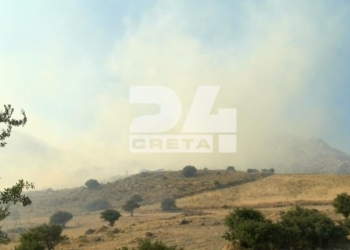 Πυρκαγιά στο Μελιδοχώρι Ηρακλείου: «Μάχη» με τις διάσπαρτες εστίες