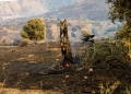 Πυρκαγιά στο νότιο Ρέθυμνο: «Είμαι σίγουρος ότι είναι εμπρησμός» λέει ο δήμαρχος Αγίου Βασιλείου