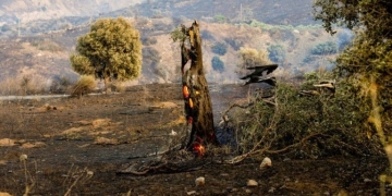 Πυρκαγιά στο νότιο Ρέθυμνο: «Είμαι σίγουρος ότι είναι εμπρησμός» λέει ο δήμαρχος Αγίου Βασιλείου