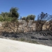 Ρέθυμνο: Ποινική δίωξη για εμπρησμό με ενδεχόμενο δόλο στον υπεύθυνο λειτουργίας του δικτύου του ΔΕΔΔΗΕ!