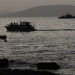 Σάμος: Ναυάγιο με αλλοδαπούς στη θαλάσσια περιοχή της Μεσαριάς - Η τουρκική ακτοφυλακή περισυνέλεξε 34 άτομα