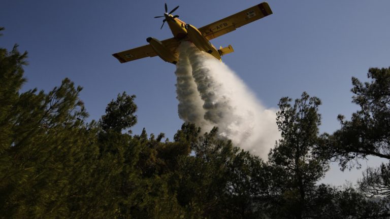 Σκοτείνιασε η Μυτιλήνη από τον καπνό, φωτιά σε δασική έκταση στις απέναντι τουρκικές ακτές