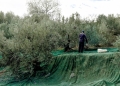 SOS για τις επιδοτήσεις των αγροτών – Η επιστολή της Ένωσης Ηρακλείου προς τον Υπουργό Ανάπτυξης