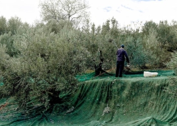 SOS για τις επιδοτήσεις των αγροτών – Η επιστολή της Ένωσης Ηρακλείου προς τον Υπουργό Ανάπτυξης