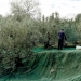 SOS για τις επιδοτήσεις των αγροτών – Η επιστολή της Ένωσης Ηρακλείου προς τον Υπουργό Ανάπτυξης