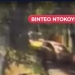 Σταύρος Γεωργίου: Βίντεο-ντοκουμέντο δείχνει άγνωστο πρόσωπο μαζί με τον ποινικολόγο πριν από τη δολοφονία