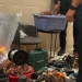 Στον εισαγγελέα οι τρεις συλληφθέντες για τους εμπρησμούς στη Μεσσηνία