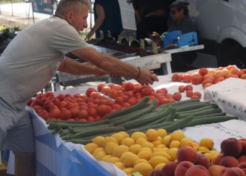 Συγκροτήθηκε το νέο Διοικητικό Συμβούλιο της Πανελλαδικής Ομοσπονδίας Παραγωγών Λαϊκών Αγορών