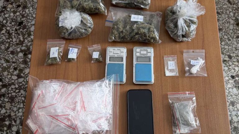 Συλλήψεις για διακίνηση ναρκωτικών στην Πάρο - Κατασχέθηκαν κοκαΐνη, δενδρύλλια, χρήματα