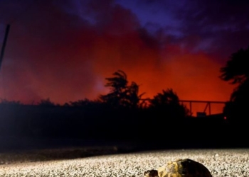 Συνεχής μάχη με τις πυρκαγιές σε όλη τη χώρα- 96 πύρινα μέτωπα σε 48 ώρες