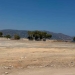 Το “σπίτι του Ερασιτέχνη ΟΦΗ”: Αρχίζει να …θυμίζει ξανά γήπεδο!