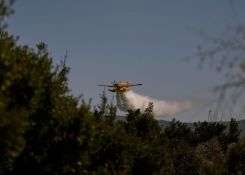 Τουρκία: Υπό έλεγχο οι μεγάλες δασικές πυρκαγιές σε Φετιγιέ και Αττάλεια