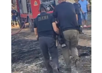Βίντεο: Συγκινεί η διάσωση ενός τραυματισμένου σκύλου από τη φωτιά στο Ωραιόκαστρο