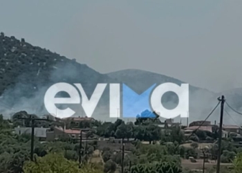 Υπό μερικό έλεγχο η πυρκαγιά στην περιοχή Μηλάκι Ευβοίας