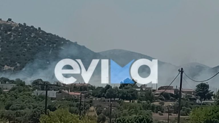 Υπό μερικό έλεγχο η πυρκαγιά στην περιοχή Μηλάκι Ευβοίας