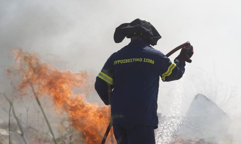 Υψηλός κίνδυνος πυρκαγιάς σε Ηράκλειο και Λασίθι