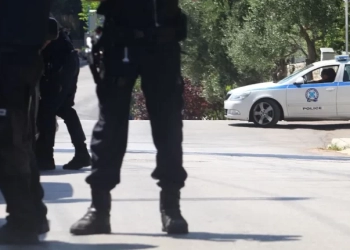 Ζωνιανά: Εντοπίστηκε φυτεία κάνναβης με 32 δενδρύλλια (φωτογραφίες)