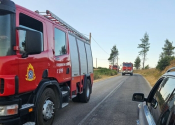 Άνδρος: Πυρκαγιά σε αγροτοδασική έκταση στον Κάτω Απροβάτο