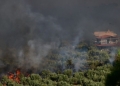 Αντιπρόεδρος Βιλίων στον ΣΚΑΪ: «Μέσα στο Πόρτο Γερμενό η φωτιά – Έχουν καεί πάνω από 3 σπίτια και ζώα»