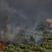 Αντιπρόεδρος Βιλίων στον ΣΚΑΪ: «Μέσα στο Πόρτο Γερμενό η φωτιά – Έχουν καεί πάνω από 3 σπίτια και ζώα»