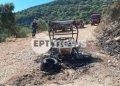 Από φωτιά σε τετράτροχο ξεκίνησε η πυρκαγιά στον Μαραθιά Ζακύνθου