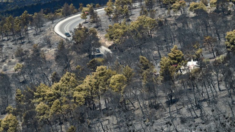 Αττική: Το 42% των δασών κάηκε τα τελευταία δέκα χρόνια - Δείτε τον χάρτη