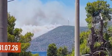 Αττικοβοιωτία: Βίντεο που εξετάζεται ως η στιγμή εκκίνησης της πυρκαγιάς στον Αγιο Βασίλειο