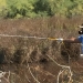 Χαρδαλιάς: «Βρισκόμαστε σε πλήρη επιφυλακή για τα κουνούπια – Έχουμε ήδη αυξήσει κατά 30% τους ψεκασμούς»