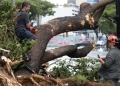 Χαβάη: Σε τροπική καταιγίδα υποβαθμίστηκε ο τυφώνας Lala – Εκτεταμένες πλημμύρες και μεγάλες καταστροφές