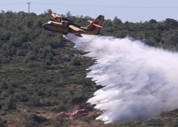 Χωρίς ενεργό μέτωπο η πυρκαγιά σε χαμηλή βλάστηση στην περιοχή Σταθαίικα Άργους